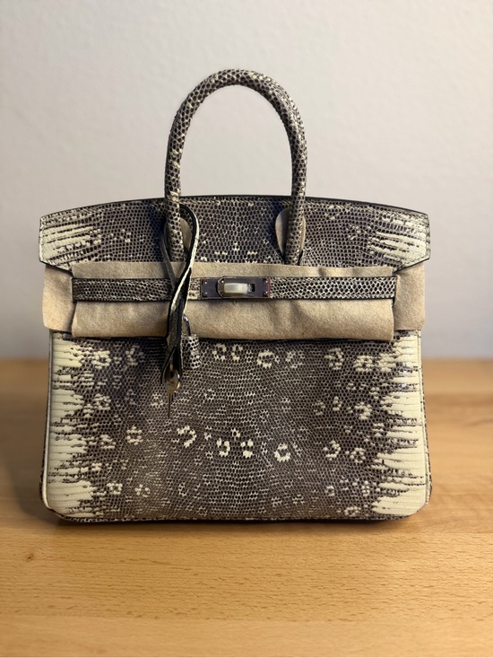 H Handbags - H Ombre genuine Varanus Salvator ring Lizard Birkin 25 Retourne PHW soldout rare
